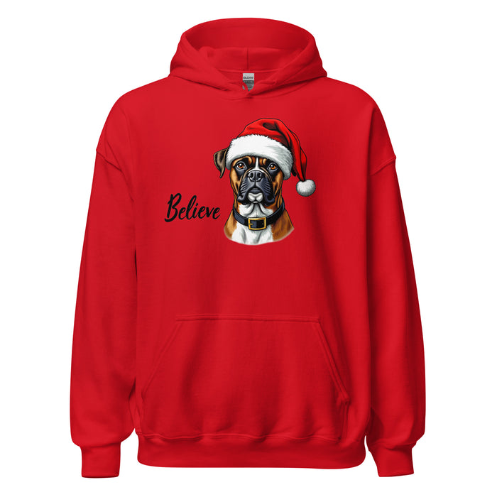 Believe Hoodie